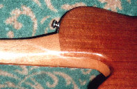 The smooth joint at the heel of the neck